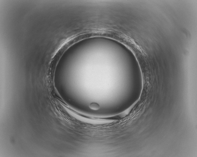 X0000116351256200912011403