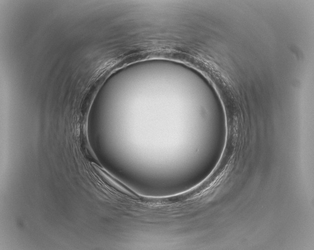 X0000116351257200912011403