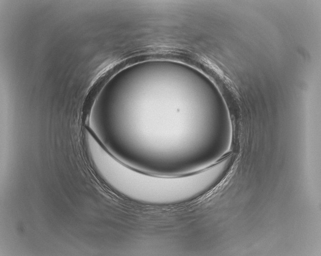 X0000116351259200912011403