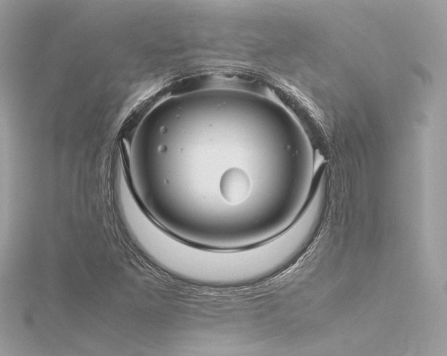 X0000116351261200912011403