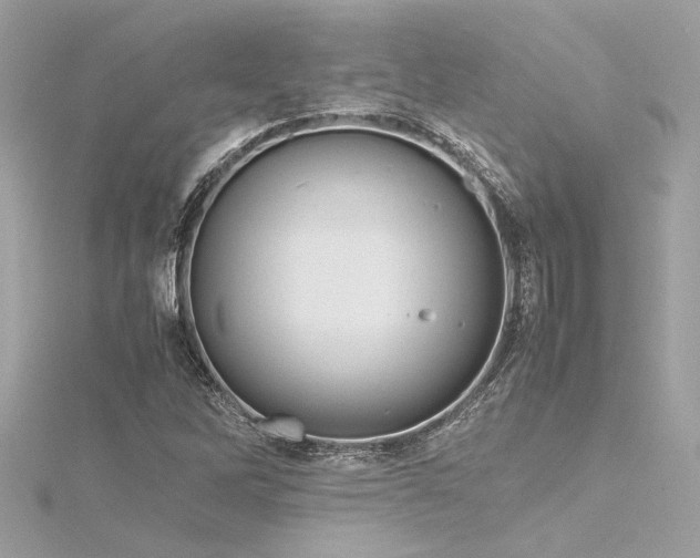 X0000116351262200912011403