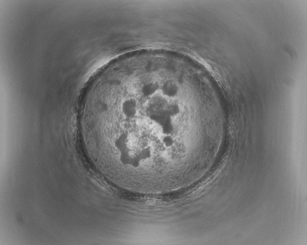 X0000116351263200912011403