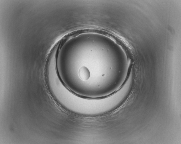 X0000116351264200912011403