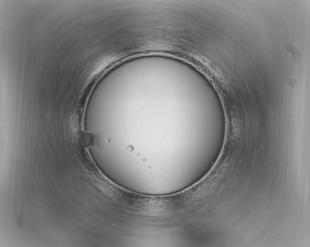 X0000116351266200912011403