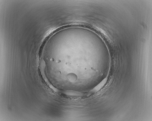 X0000116351267200912011403