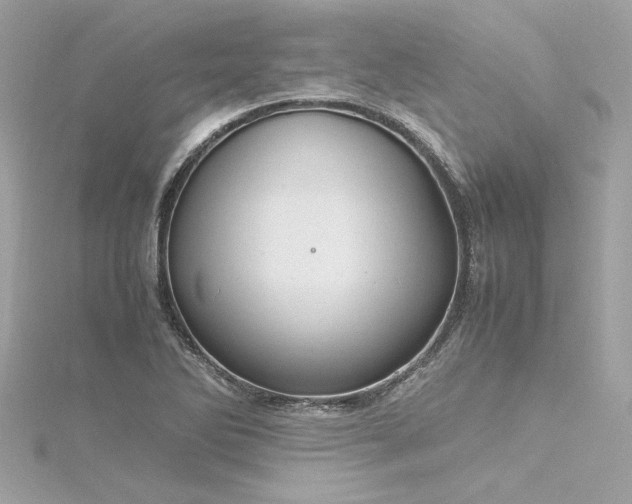 X0000116351270200912011403