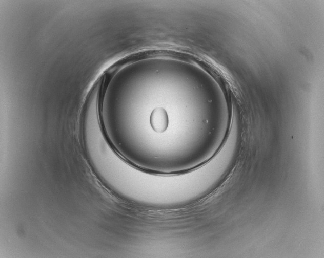 X0000116351272200912011403