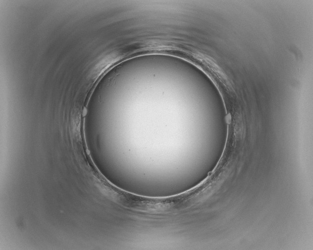 X0000116351273200912011403