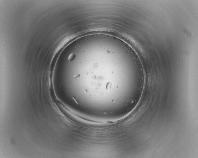 X0000116351274200912011403