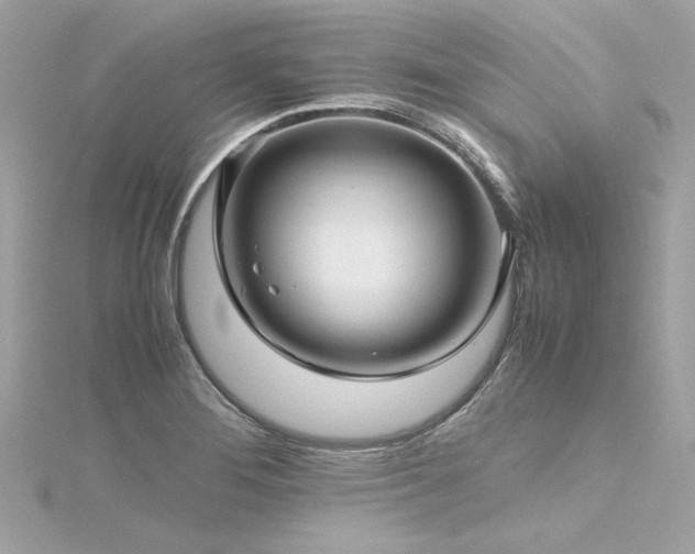 X0000116351276200912011403