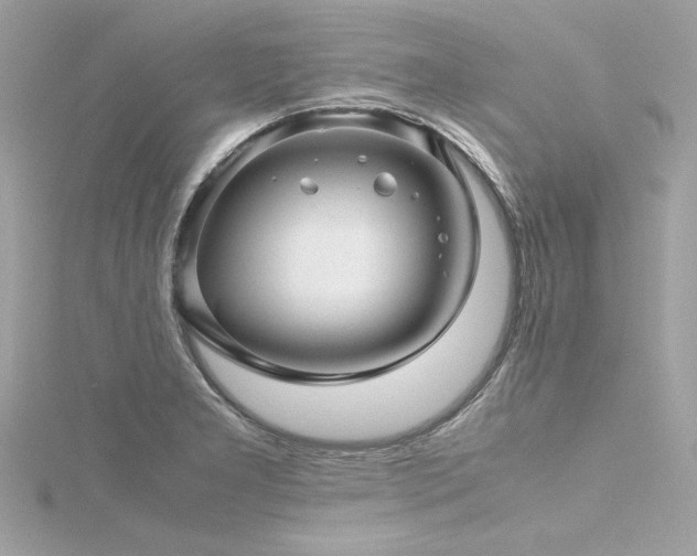 X0000116351277200912011403