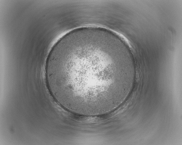 X0000116351279200912011403