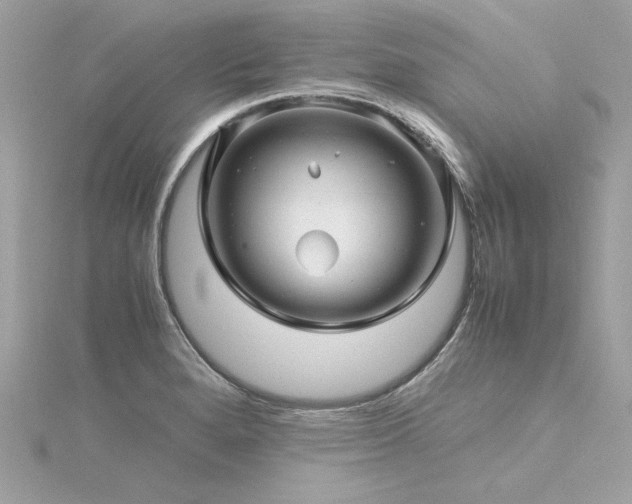 X0000116351280200912011403