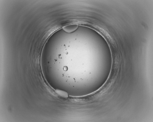 X0000116351281200912011403