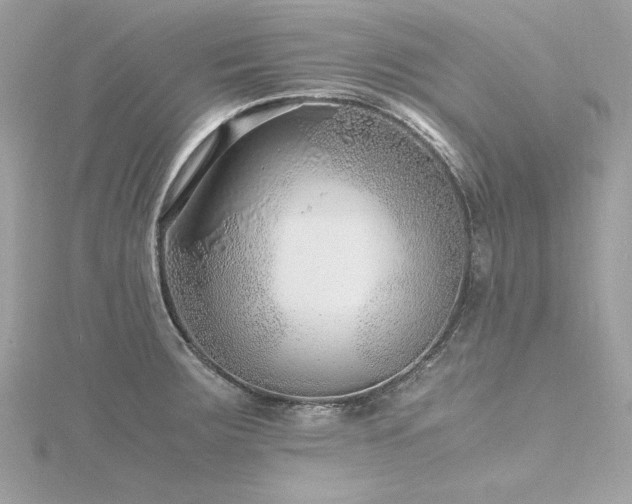 X0000116351283200912011403