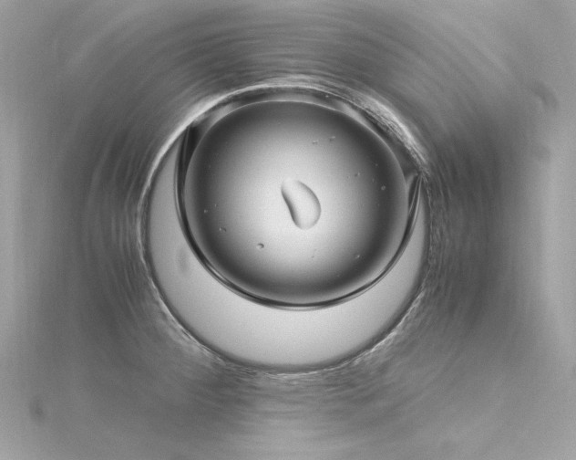 X0000116351284200912011403