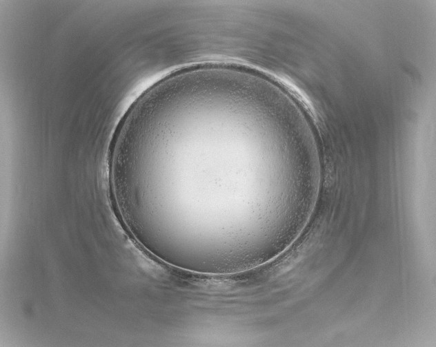 X0000116351287200912011403