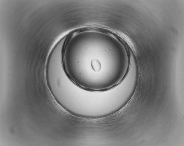 X0000116351288200912011403