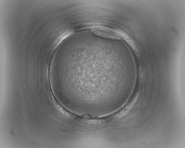 X0000116351289200912011403