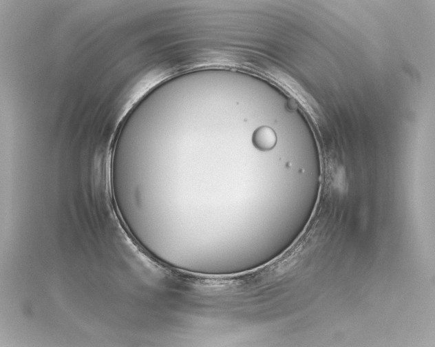 X0000116351290200912011403