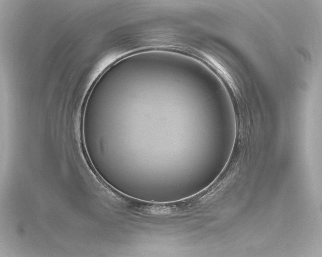 X0000116351291200912011403