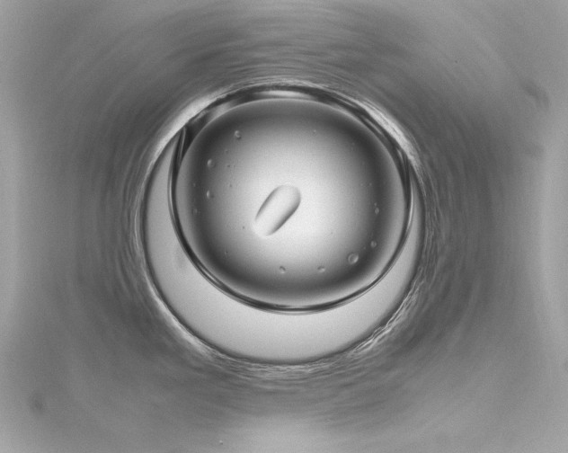 X0000116351293200912011403