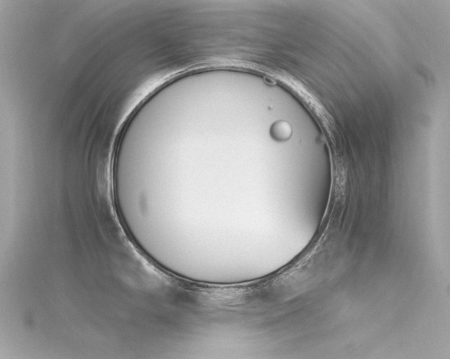 X0000116351294200912011403