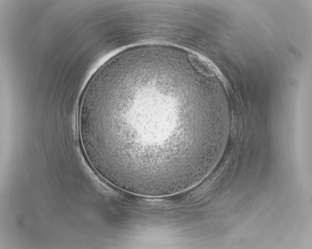 X0000116351295200912011403