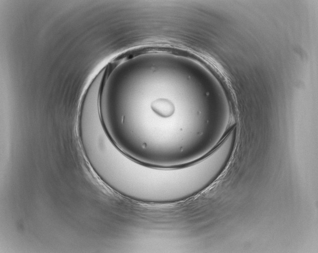 X0000116351296200912011403