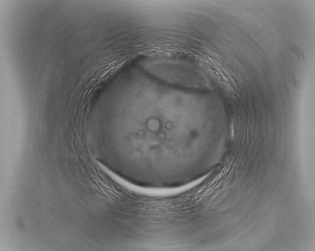 X0000116351297200912011402