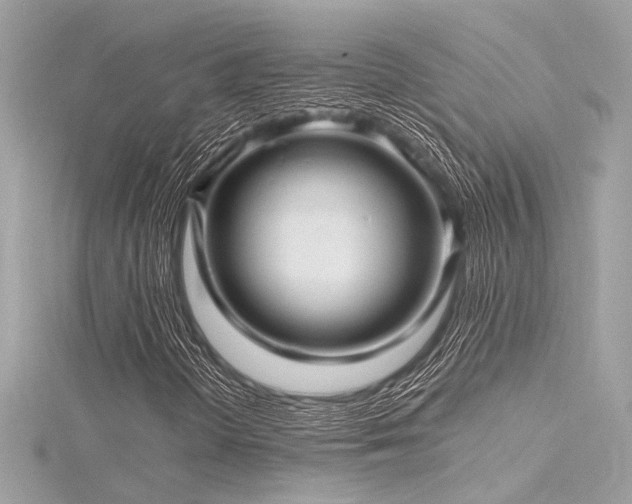 X0000116351298200912011402