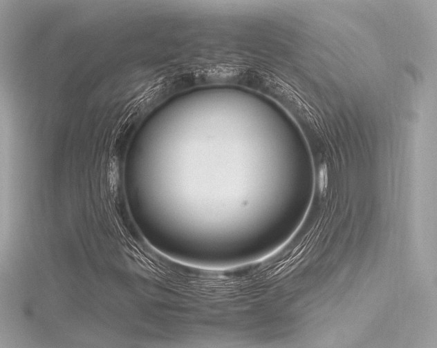 X0000116351299200912011402