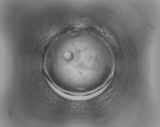 X0000116351301200912011402