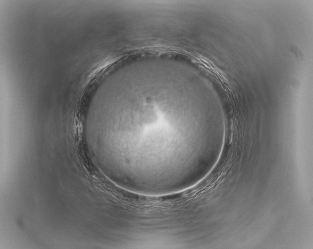 X0000116351302200912011402