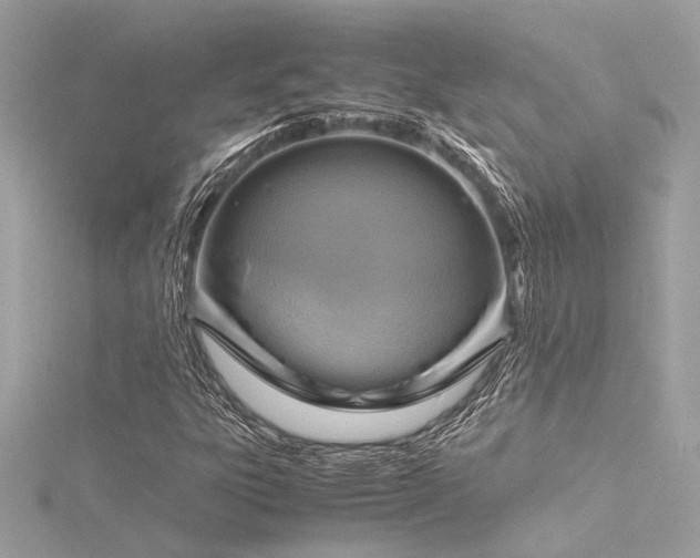 X0000116351303200912011402