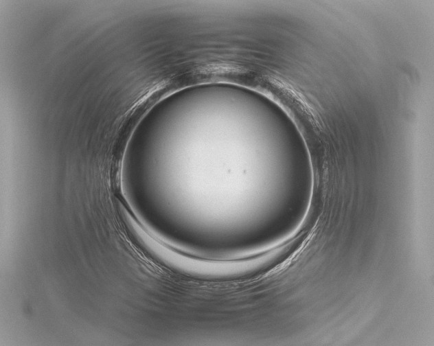 X0000116351305200912011402