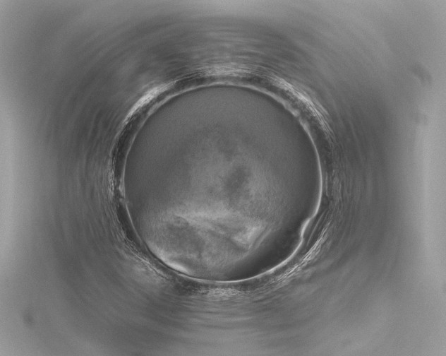 X0000116351306200912011402