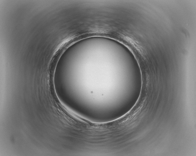 X0000116351307200912011402