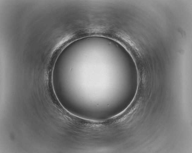 X0000116351309200912011402