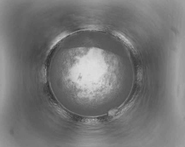 X0000116351310200912011402