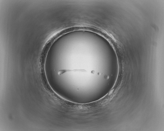 X0000116351311200912011402