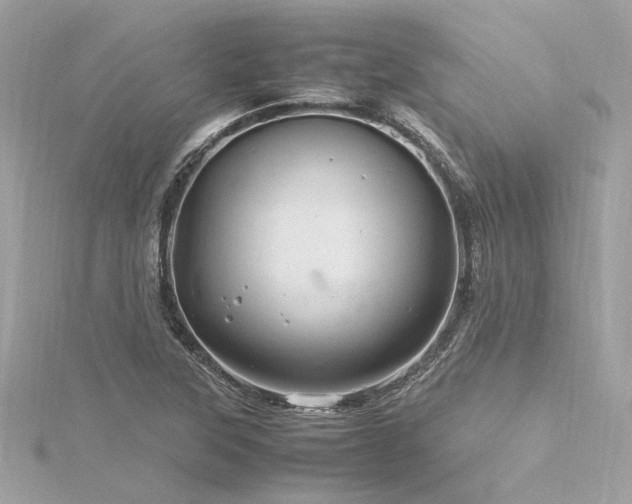 X0000116351315200912011402