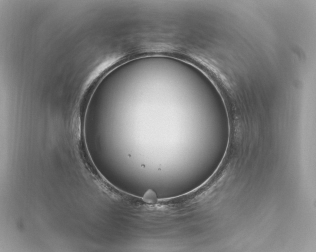 X0000116351317200912011402