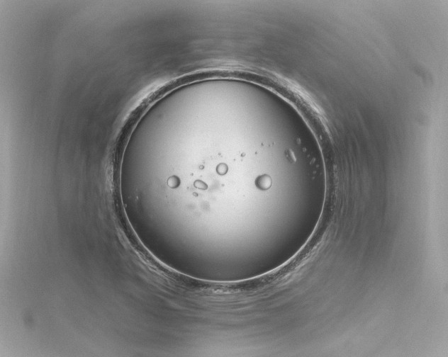 X0000116351318200912011402