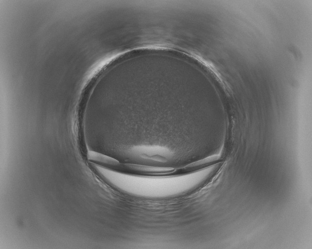 X0000116351319200912011402