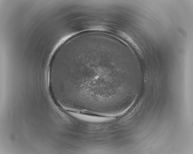 X0000116351323200912011402