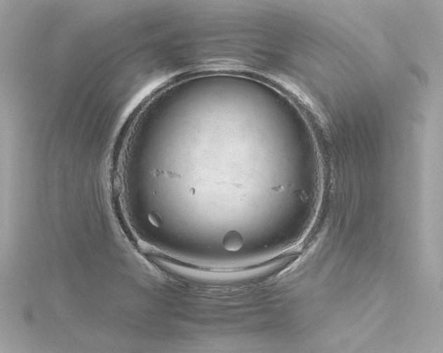 X0000116351325200912011402