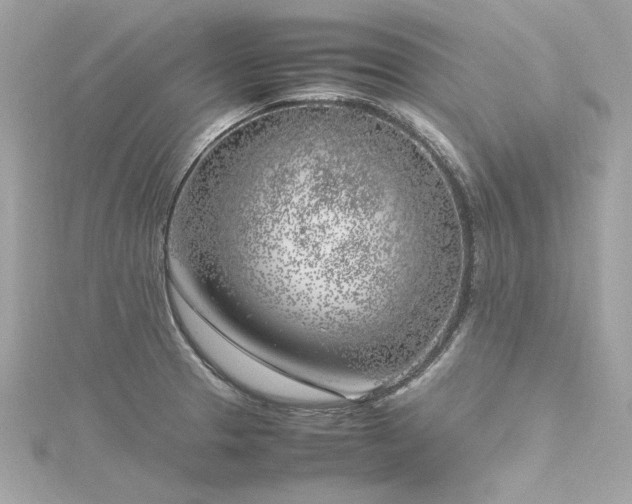 X0000116351329200912011402