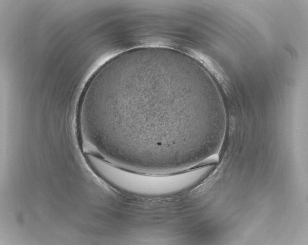 X0000116351331200912011402