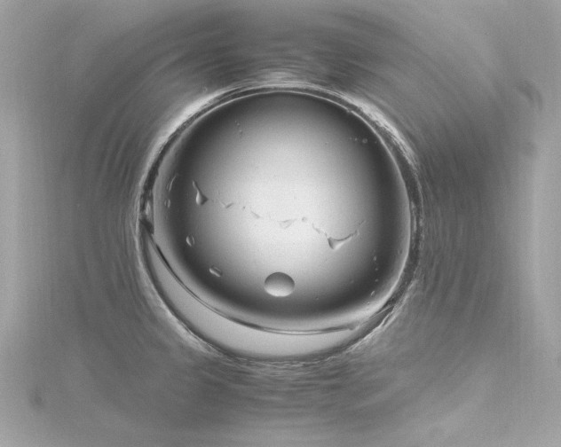 X0000116351333200912011402